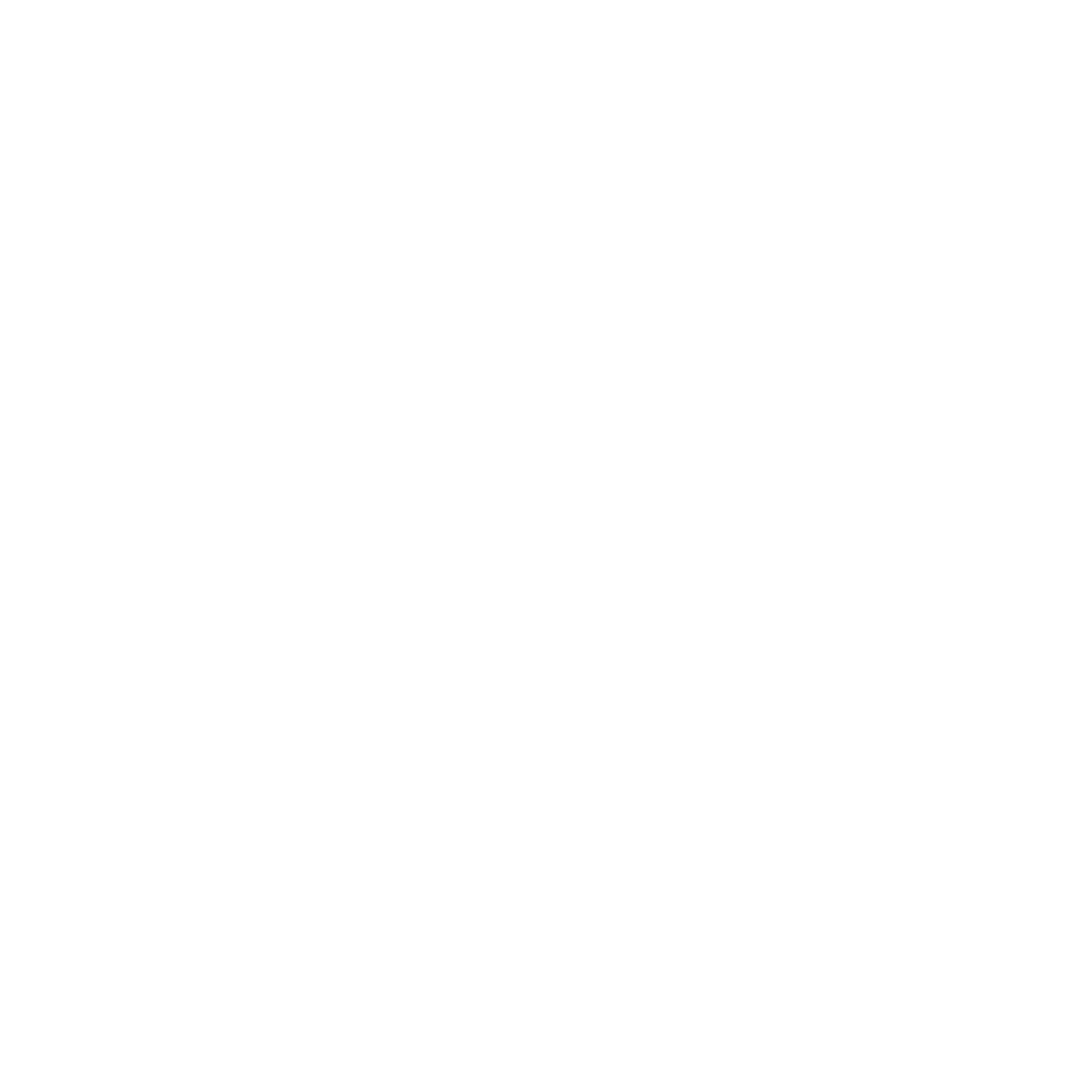 ICON-02