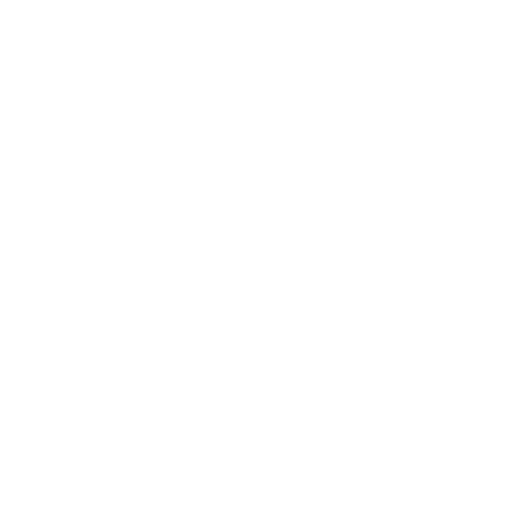 ICON-03
